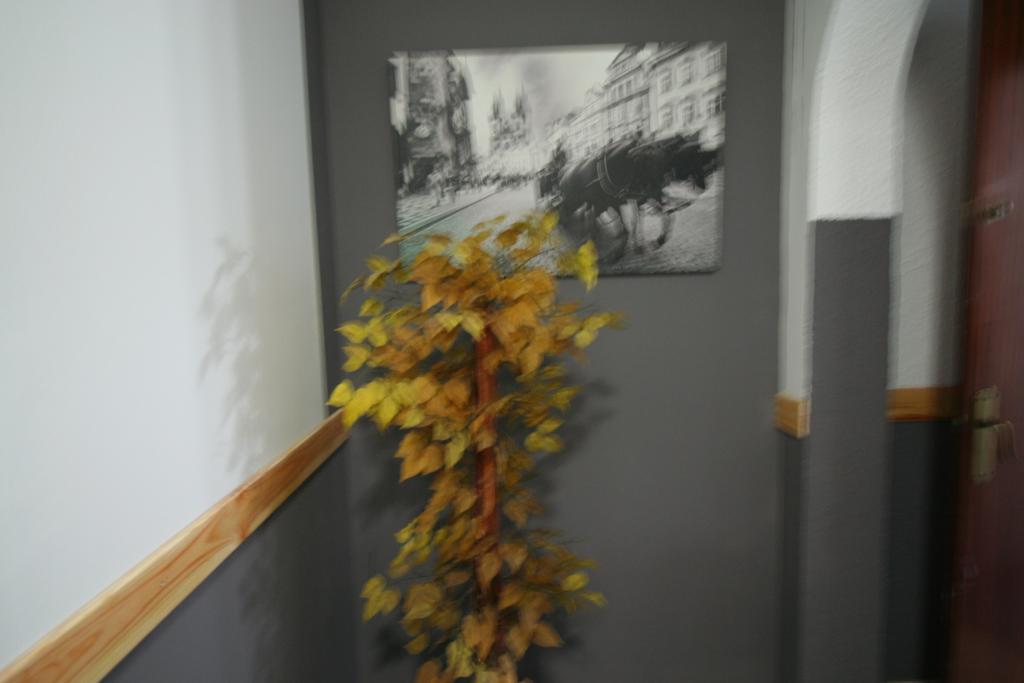 Hostal Restaurante Avenida De Madrid テラサ エクステリア 写真